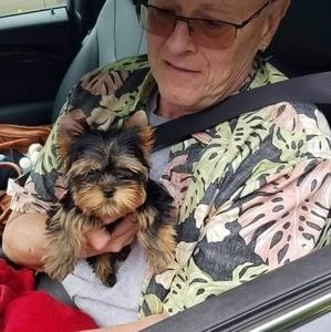 Meet your Posher, Dale